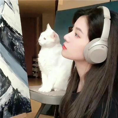 独行杀手