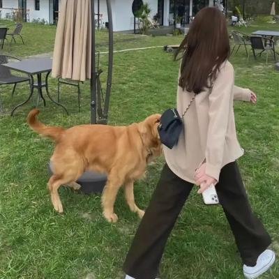 鬼爸爸